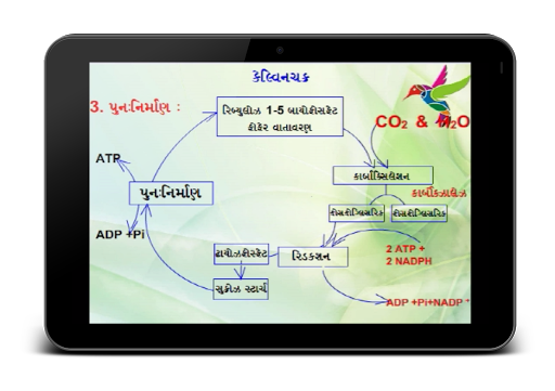 【免費教育App】Animated Biology GSEB 12-3-2-APP點子