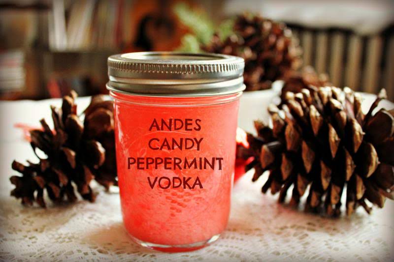 10 Best Peppermint Vodka Drinks Recipes