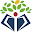 DGCT Download on Windows