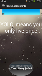 Lastest Random Slang Words APK for Android