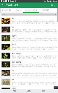 Lastest 키드키즈 APK