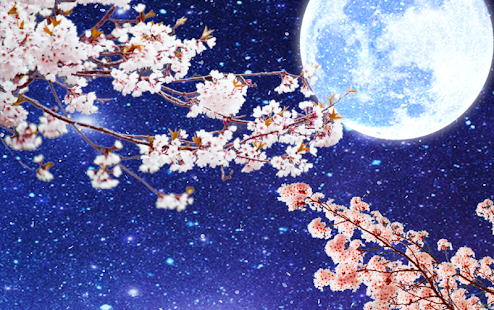 Sakura moonlit night