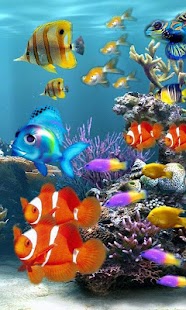 How to get Aquarium Live Wallpapers lastet apk for bluestacks