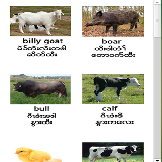 免費下載教育APP|PicDic Myanmar app開箱文|APP開箱王