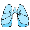 w-IG0lZmfQXfwPC0-IVLThsybMf5NezcmjMA6ISC8DRjzBL_I1cEHnytOf-qsFHVoUA=w124