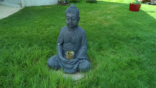 Buddha Fildorado