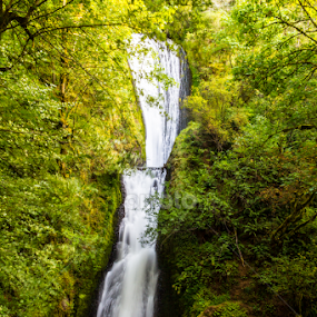 Bridal Veil Falls by Don Saddler - Landscapes Waterscapes