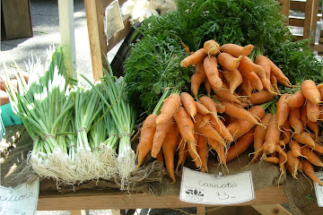 carrot soup 