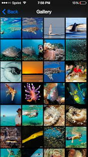 Download Exmouth Dive Centre APK for PC