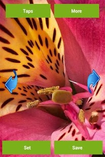 How to install Flowers Wallpapers patch 2.0.0 apk for android