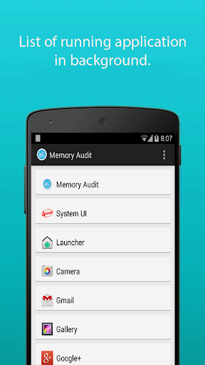 Memory Audit