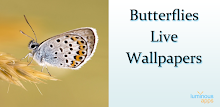 Butterflies Live Wallpaper by luminous apps APK