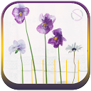 Pansy Flower - Start Theme mobile app icon