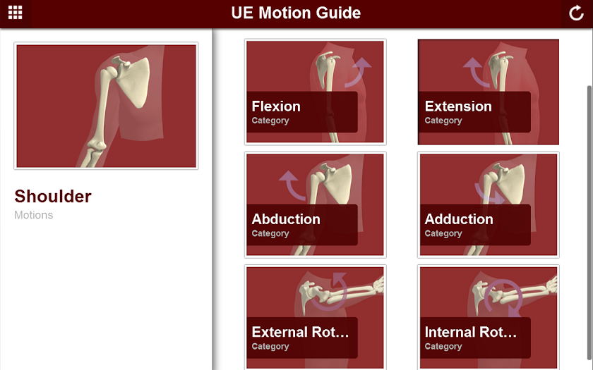 Upper Extremity Motion Guide Screen 3