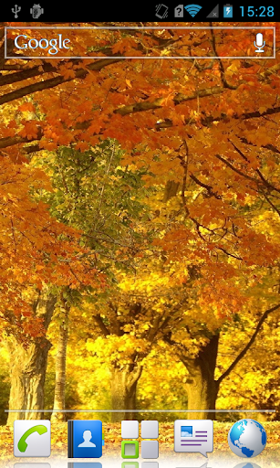 Autumn bright glare Wallpaper