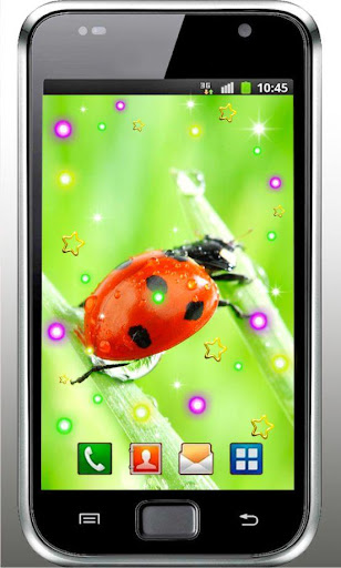 Ladybug Amazing livewallpaper