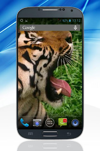 Tiger Live Video Wallpaper