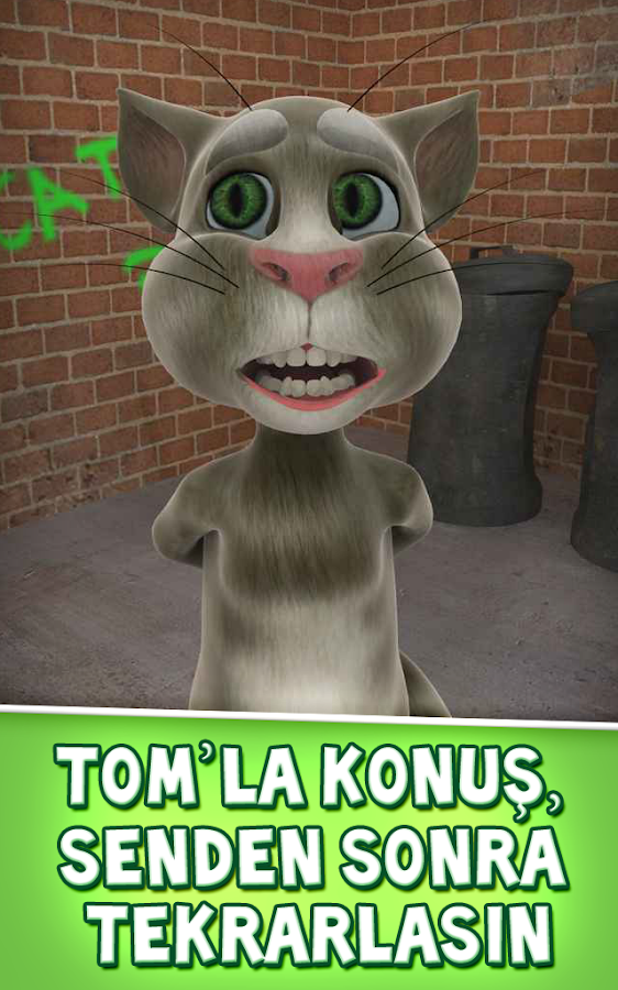 Konuşan Kedi Tom - screenshot