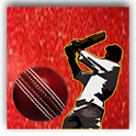 Indo Pak Cricket logo