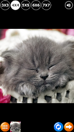 Tile Puzzle: Cute Kittens 2 poster 2