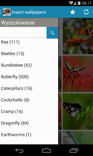 【免費個人化App】昆蟲壁紙-APP點子