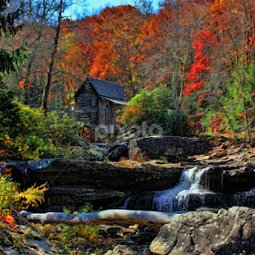 Autumn Oils by Lanis Rossi - Digital Art Places