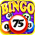 Bingo Craze