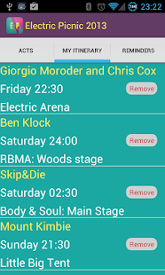Electric Picnic 2013 Screenshots 2