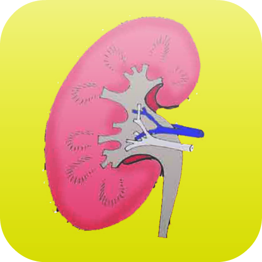 Kidney stone remedy home LOGO-APP點子