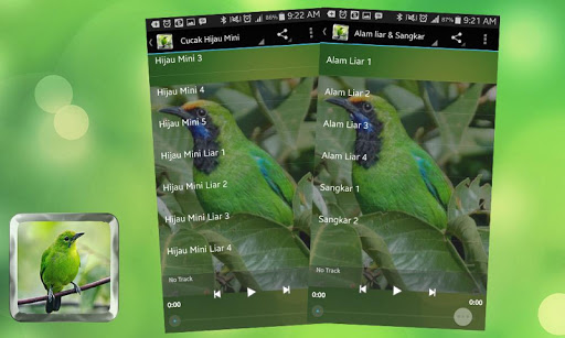 【免費音樂App】Kicau Burung Cucak Ijo Master-APP點子