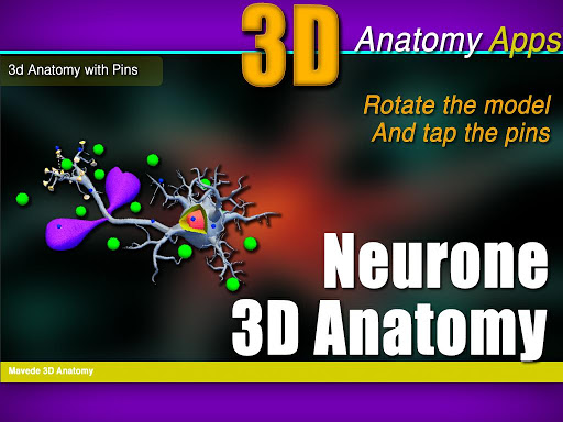 Neurone 3D Anatomy