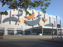 Rafael Hernandez Airport 