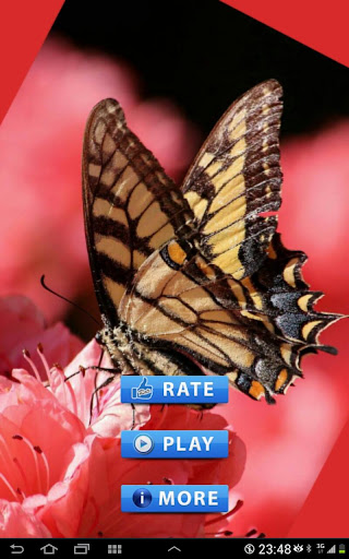 Butterfly puzzle game