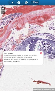smart Histology Lite Screenshots 3