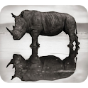 Black-White Animal Photography logo