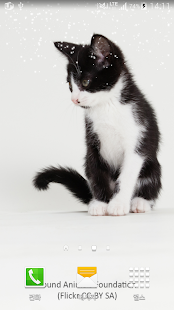cute cat livewallpaper Screenshots 1