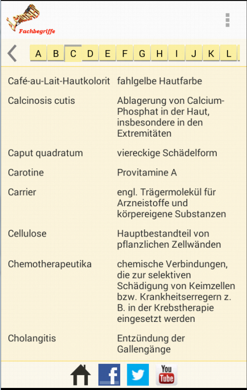 Fachbegriffssuche Screen 2