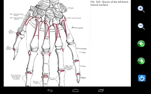 Visual Anatomy - screenshot thumbnail