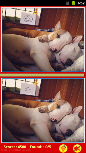 【免費解謎App】Bull Terrier: Find Differences-APP點子