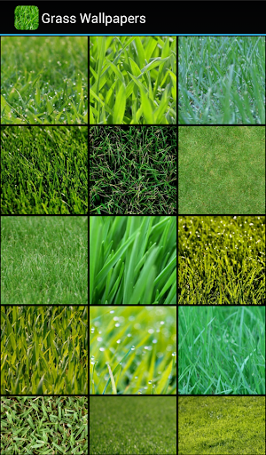 Grass Wallpapers