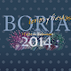 Fiestas de Borja 2014 APK