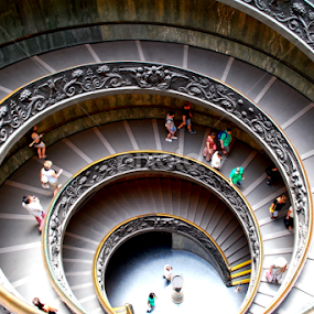 Vaticano Museum stairs by Sajal Gupta - Buildings & Architecture Other Interior