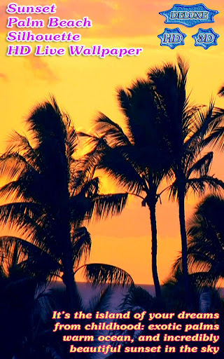 Sunset Palm Beach Silhouette