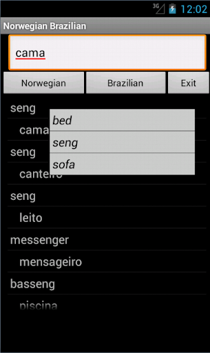 Norwegian Brazilian Dictionary