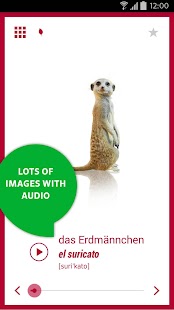 Picture Dictionary Spanish - náhled