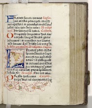 Psalter en brevier (gedeeltes) in het Latijn