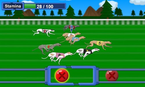 Android application Greyhound Racer screenshort