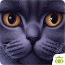 Find the Cat Free mobile app icon