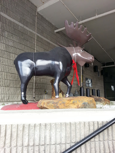 Wall Street Tower Moose Sculpture