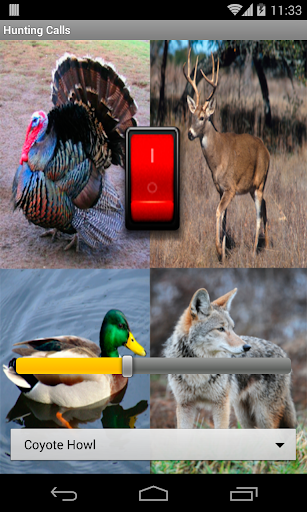 Hunting Calls